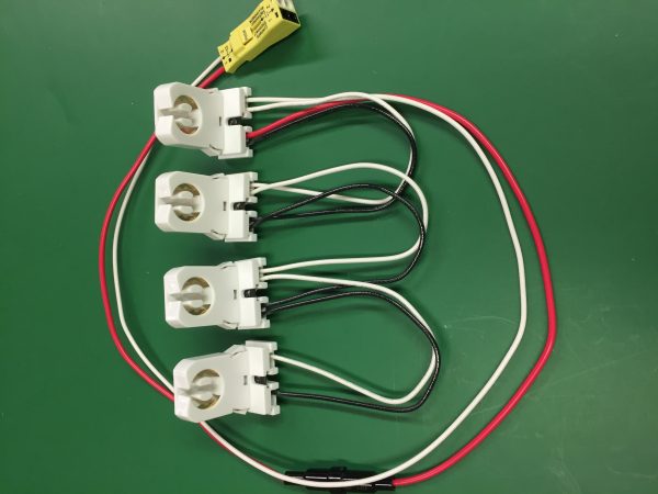 3-1226SW-2 4LT HARNESS WITH FUSE HOLDER